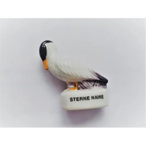Fève Oiseau Sterne Naine Wwf Champion
