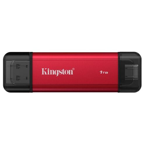 Kingston Dual - SSD - 1 To - externe (portable) - USB 3.2 Gen 2