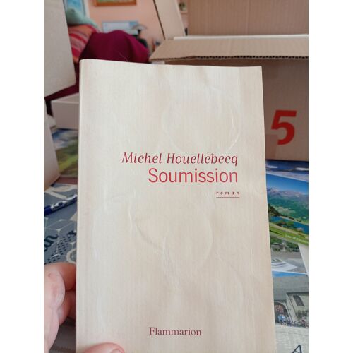 Je Vends Un De Michel Houellebecq En Bon État