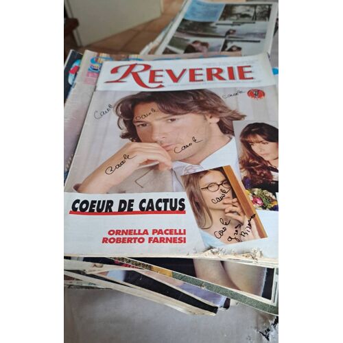 Reverie Coeur De Cactus Trace D Ecriture Annees 1996