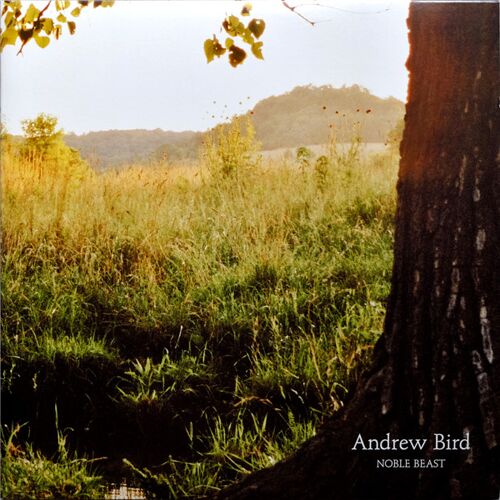 Andrew Bird - Noble Beast (2009) - Vinyl