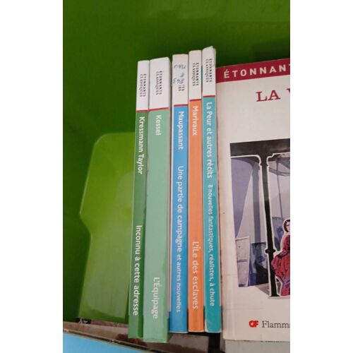 Étonnants Classiques Histoire Des Arts Cahier Photos Lot De 5 Livres.