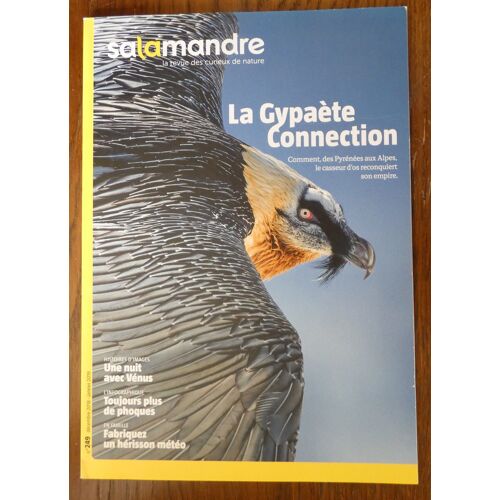 Revue "Salamandre" N° 249. Décembre 2018 - Janvier 2019 Le Gypaète Barbu