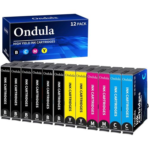 KALANKA-18XL Cartouches d'encre Multipack Compatible avec Epson 18XL pour Epson Expression Home XP 322 XP-202 XP-205 XP-212 XP-215 XP-225 XP-30 XP-302 XP-305 XP-312 XP-315 XP-102 XP-325 (Paquet de 12
