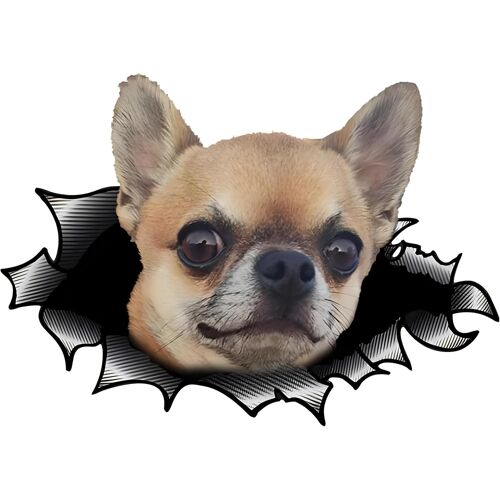 KALANKA-Autocollant de voiture Chihuahua - Effet déchiré 3D - Réfléchissant - Imperméable - Amusant - Pour voiture, ordinateur portable, réfrigérateur (15 cm)