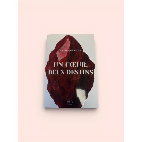Un Coeur, Deux Destins
