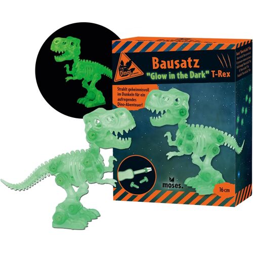 KALANKA-Moses. Kit de Construction Dinosaure Phosphorescent avec Outils, 21 pièces avec Instructions (français Non Garanti), T-Rex à Assembler, Jouet DIY pour Enfants à partir de 6 Ans