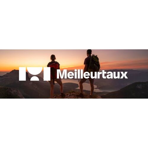 FER A REPASSER TRAVEL MOULINEX