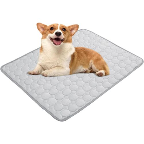 Kalanka-Lit Pour Cage Pour Chien, Coussinets Doux Et Lavables Pour Chenil, Grands Chiens Et Chats, Idéal Pour La Maison, La Voiture Et Les Voyages (55 X 70 Cm L)