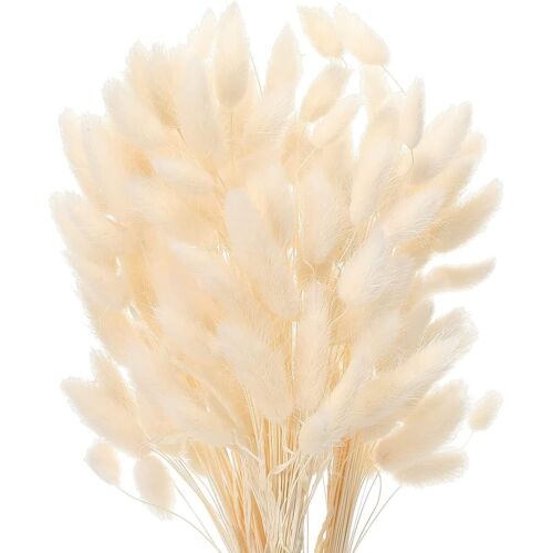 KALANKA-50 Pcs Herbe De La Pampa Fleurs Séchées Ne Se Fanent Jamais Fleur Sechees Décoration Naturelle Boheme Fleurs Déco Anniversaire Décoration Mariage Décoration Maison (Blanc)