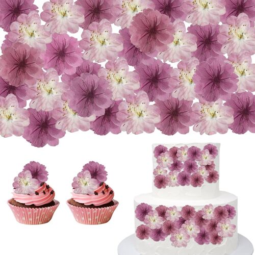 KALANKA-48 Fleurs comestibles Sakura, Fleurs de Cerisier séchées Naturelles pour décoration de gâteau, Toppers pour Cupcakes et Garniture de Cocktails