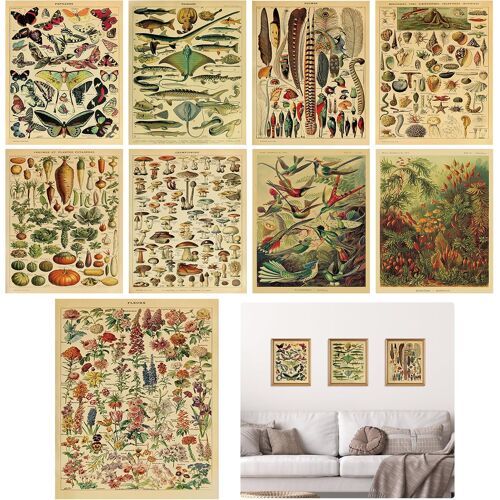 KALANKA-Lot de 9 affiches vintage botaniques Papillon Poster Diagramme de fleurs Affiche Ensemble éducatif d'identification Décor mural pour salon chambre à coucher Non encadré 20 x 25 cm