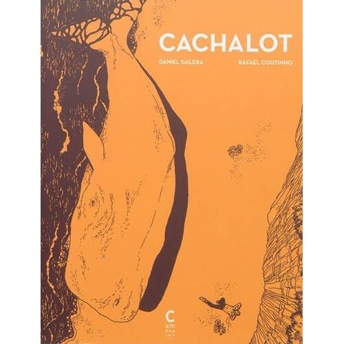 Cachalot