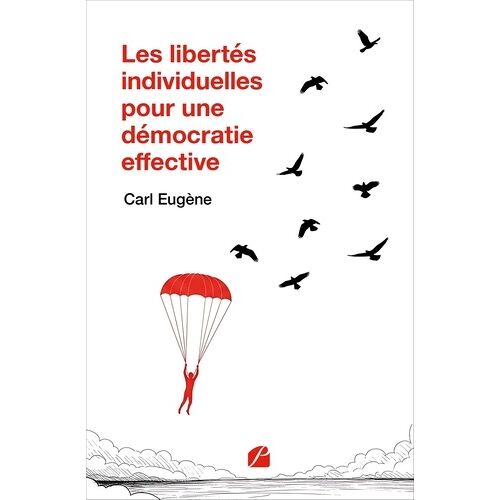 Les Libertés Individuelles Pour Une Démocratie Effective