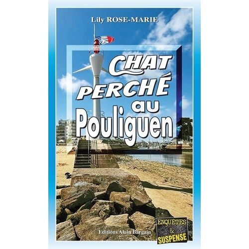 Chat Perché Au Pouliguen