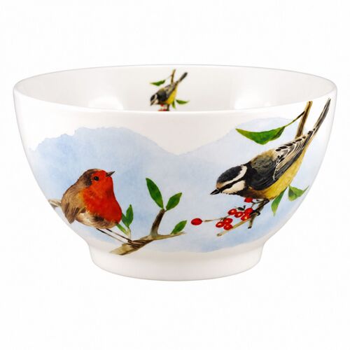 Bol En Porcelaine Oiseaux Du Jardin 480 Ml