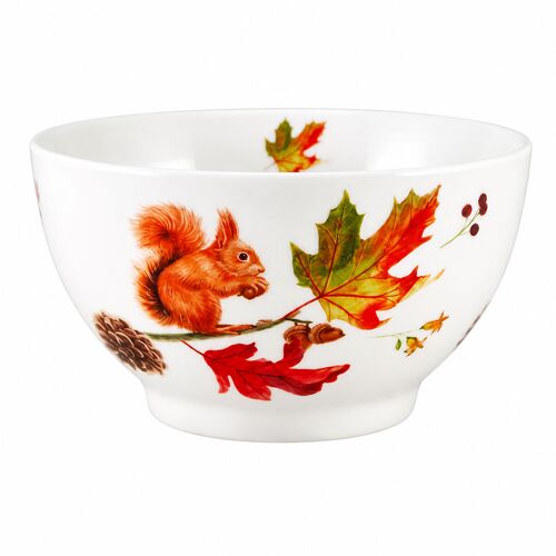 Bol Écureuil En Porcelaine 480 Ml