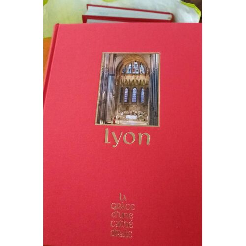 Lyon La Grâce D'Une Cathédrale