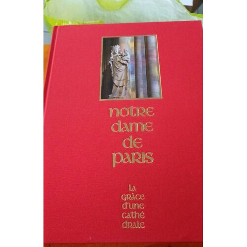 Notre Dame De Paris La Grâce D'Une Cathédrale