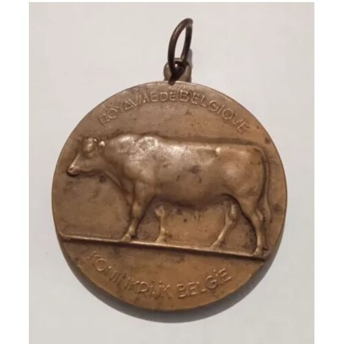 Médaille Du Ministère De L' Agriculture - Royaume De Belgique - 1953