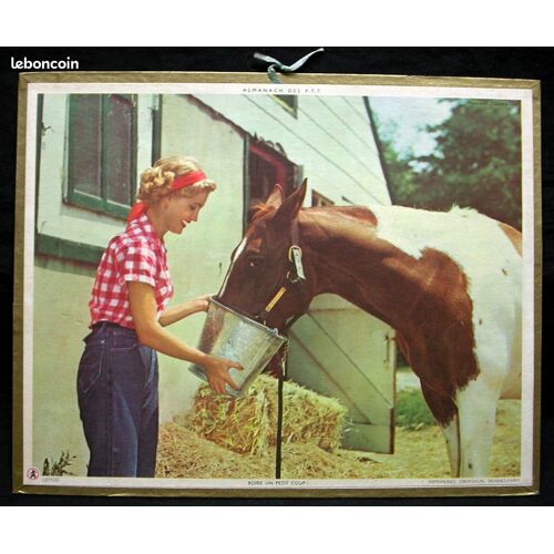 Almanach Ptt Calendrier 1962 Cheval Boire Un Petit Coup