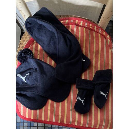 Ensemble Puma
