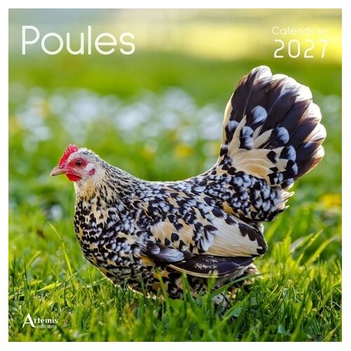 Calendrier Poules 2027 - 2027