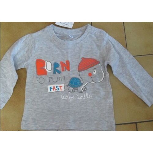 Tee Shirt Tortue 9 Mois
