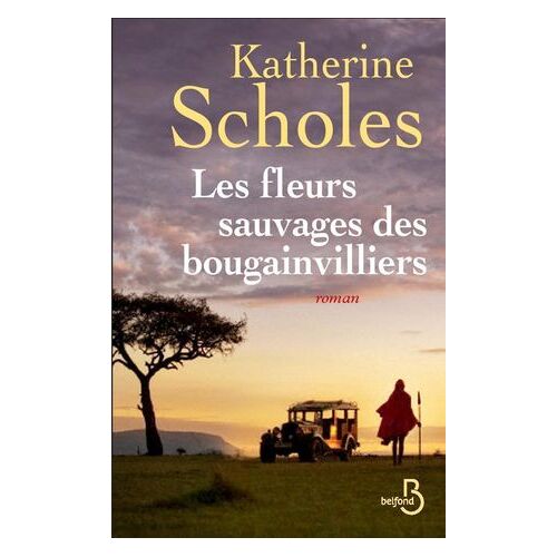 Les Fleurs Sauvages Des Bougainvilliers