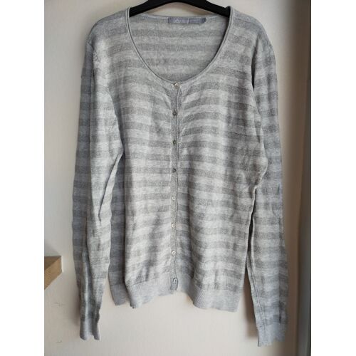 Gilet Lafayette Collection Gris Rayé Argenté T2