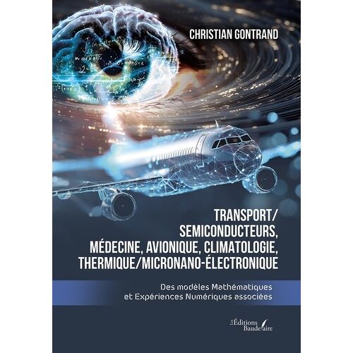 Transport/ Semiconducteurs, Médecine, Avionique, Climatologie, Thermique/Micronano-Électronique - Des Modèles Mathématiques Et Expériences Numériques Associées