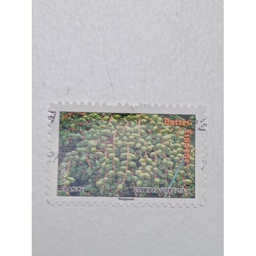 Timbre France Lettre 20g Oblitéré Autoadhésif Yvert N° 693 Dattes Espagne Carnet « Des Fruits Pour Une Lettre Verte » De 2012