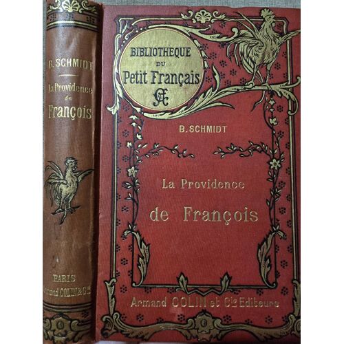 B. Schmidt – La Providence De François – Édition Illustrée De 1900 – Bibliothèque Du Petit Français