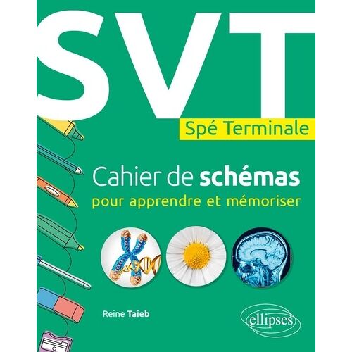 Svt - Spé Terminale - Cahier De Schémas Pour Apprendre Et Mémoriser