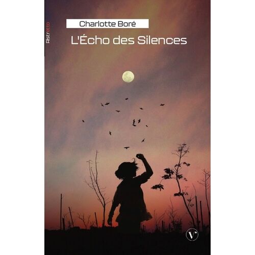 L'écho Des Silences