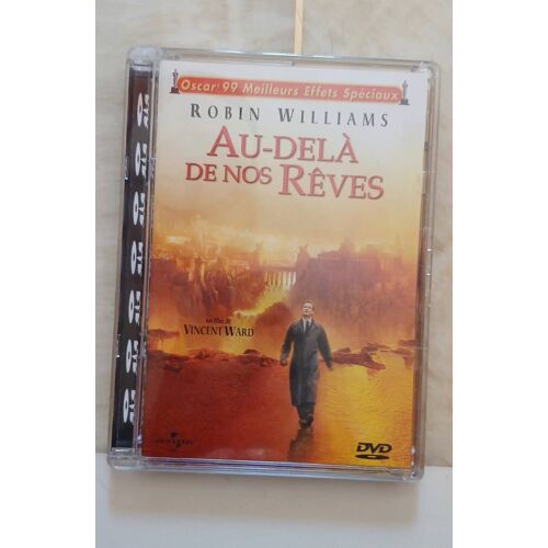 Au Dela De Nos Reves De Vincent Ward
