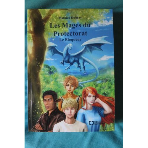 Les Mages Du Protectorat Tome 1 Par Mathieu Dubray