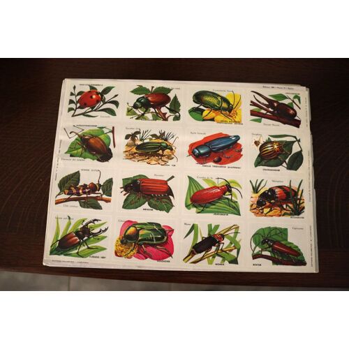 Lot 32 Planche Images Volumetrix (Animaux, Sport, Trains, Anatomie, Histoire, Monuments, Insectes, Geographie ,....)