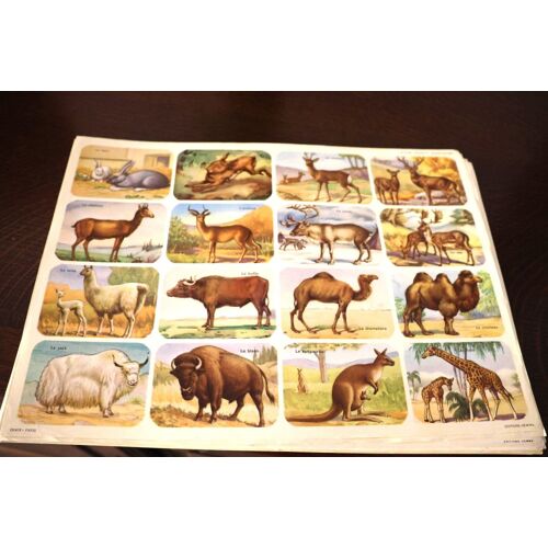 Lot 53 Planche Images Hemma (Animaux, Sport, Trains, Anatomie, Histoire, Monuments, A&Stronomie,....