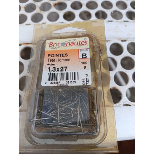 Pointe tête homme 1.3x 27