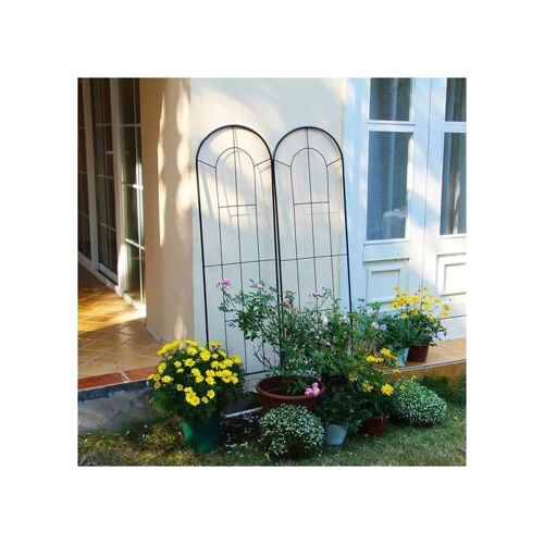 Lot De 2 Tuteurs De Jardin En Métal Noir 150x40,5 Cm, Treillis Décoratif Pour Plantes Grimpantes, Rosiers, Tomates, Fer Résistant