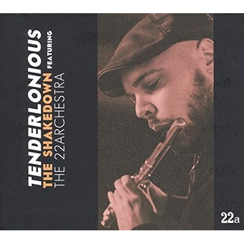 The Shakedown Feat. The 22archestra [2lp] [12 Inch Analog]