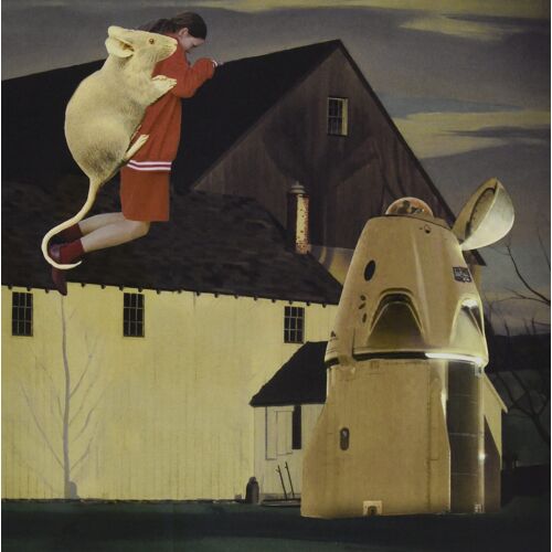 Dream Farm [Vinyl]