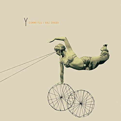 Y [12 Inch Analog]