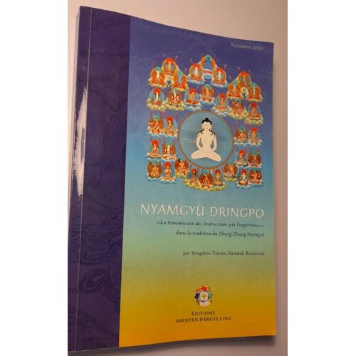Nyamgyü Dringpo – « La Transmission Des Instructions Par L’Expérience, Version Médiane » Dans La Tradition Du Zhang Zhung Nyengyü,