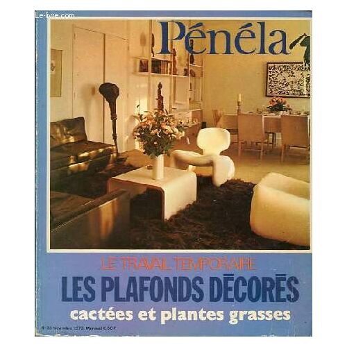 Pénéla La Première Revue Féminine De Bibliothèque N°38 Novembre 1970 - Le Travail Temporaire, Les Plafonds Décorés, Cactées Et Plantes Grasses.