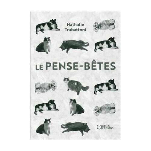 Le Pense-Bêtes