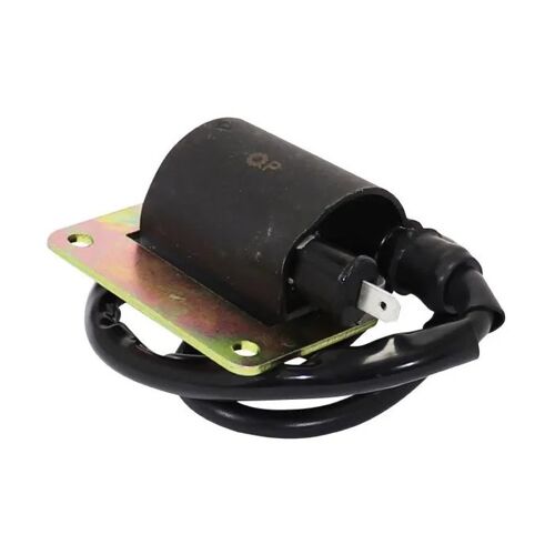 Bobine Allumage Moto Scooter Mobylette Piaggio 125 Typhoon