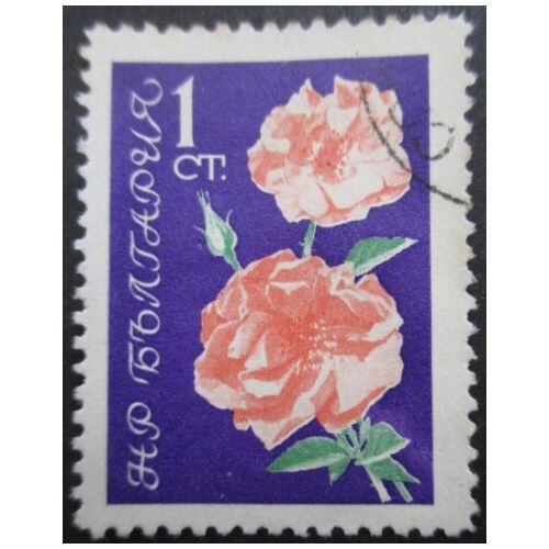 Bulgarie N°1126 Roses Oblitéré