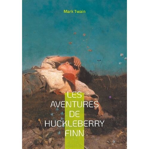 Les Aventures De Huckleberry Finn